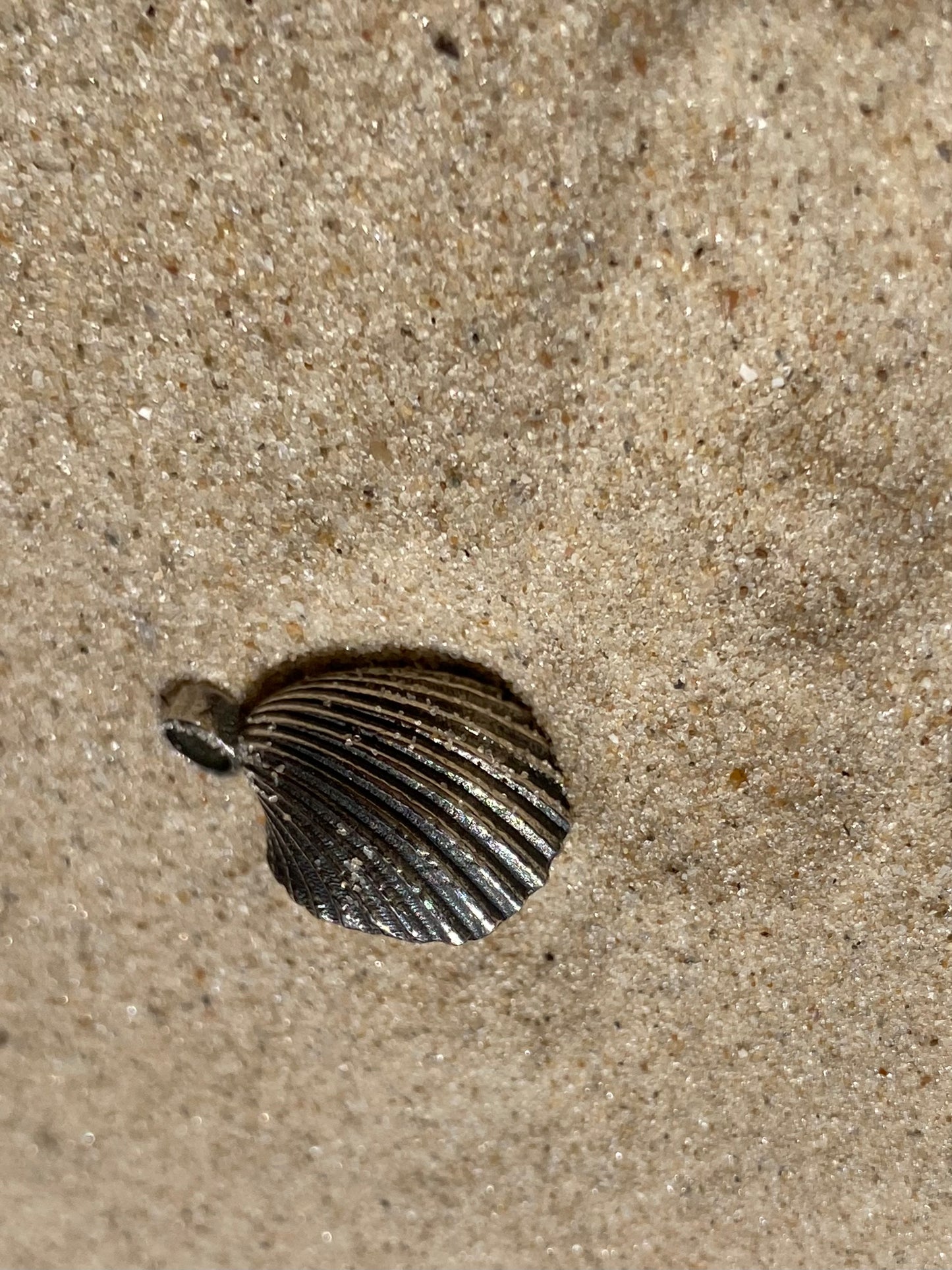 Sterling Silver Seashell Necklace