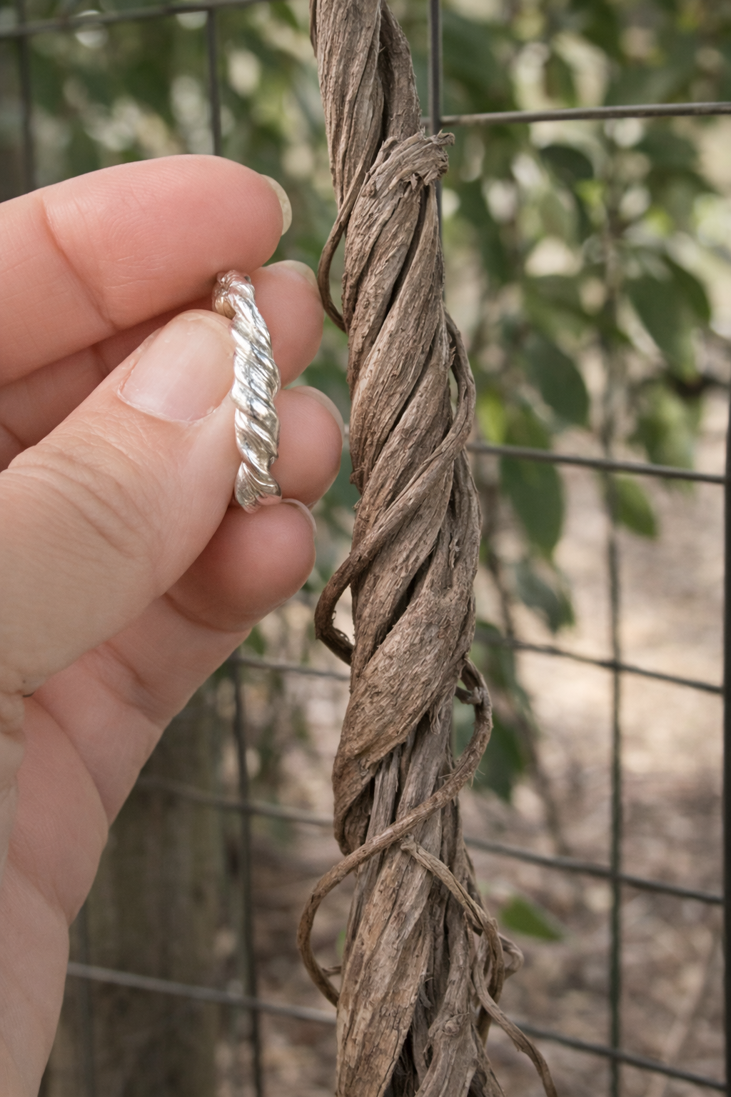 Vine Ring Sterling Silver No. 1