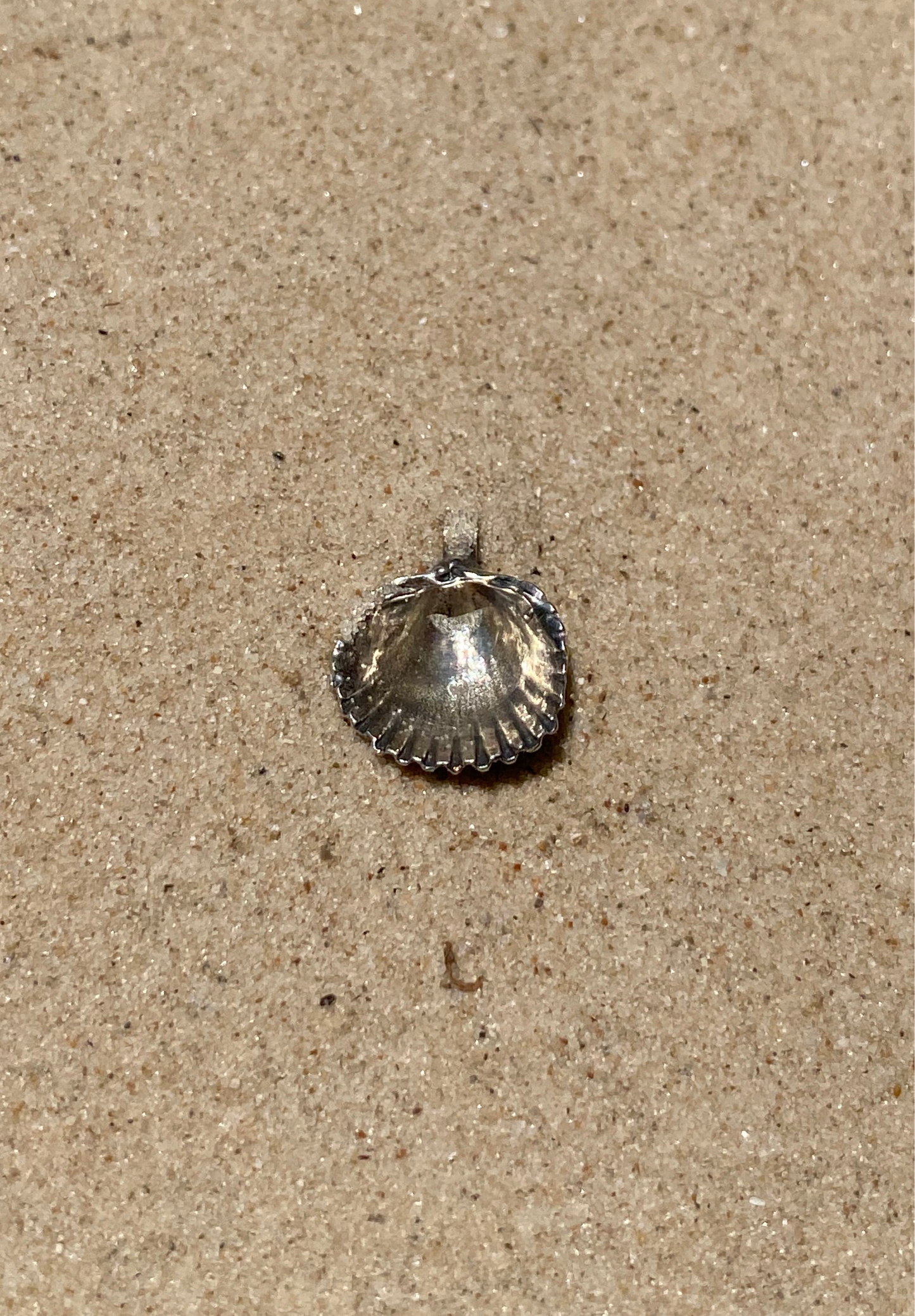 Sterling Silver Seashell Necklace