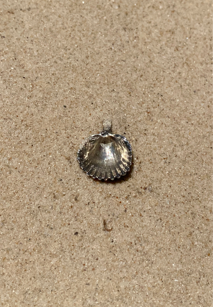 Sterling Silver Seashell Necklace