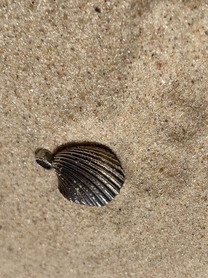 Sterling Silver Seashell Necklace