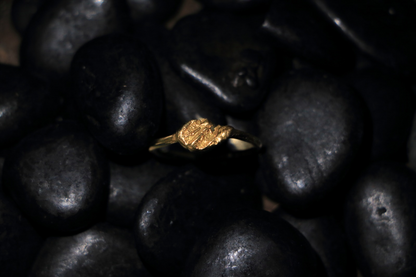 Caldera 14k Gold Ring